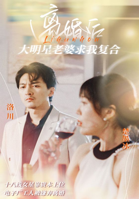 离婚后,大明星老婆求我复合