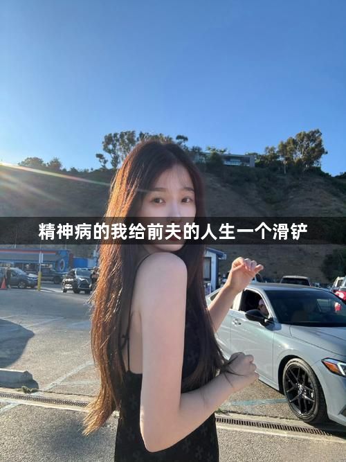 精神病的我给前夫的人生一个滑铲1
