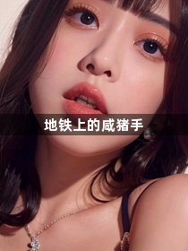 地铁上的咸猪手1