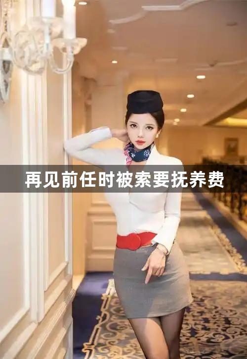 再见前任时被索要抚养费1