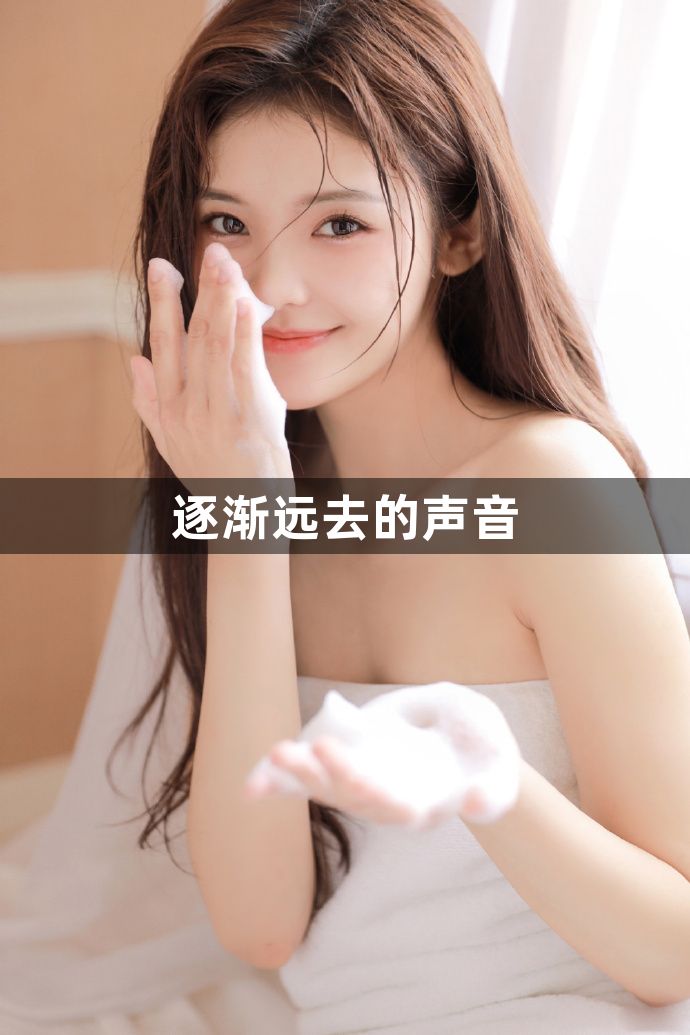逐渐远去的声音1
