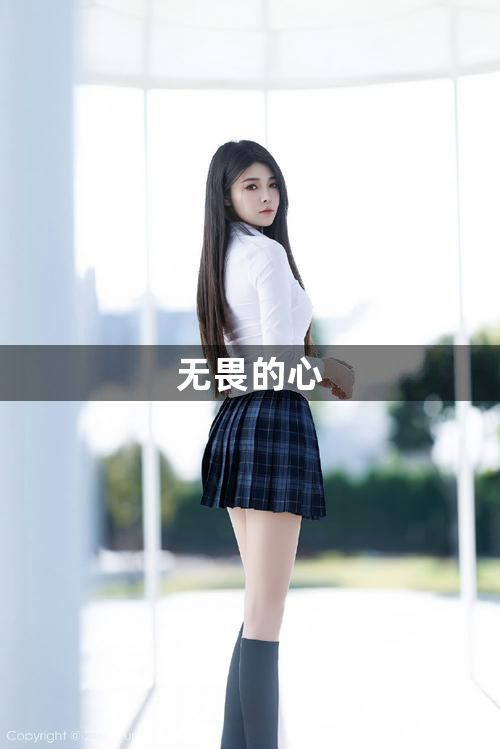无畏的心1
