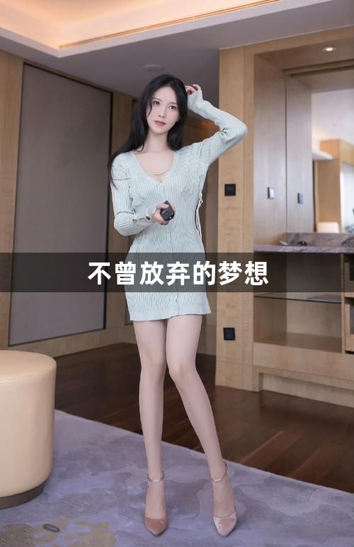 不曾放弃的梦想1