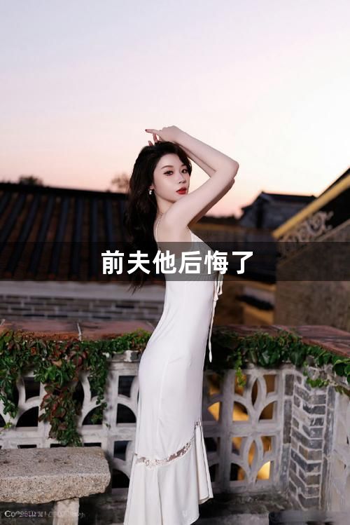 前夫他后悔了1