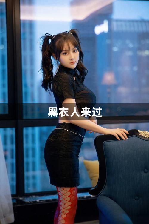黑衣人来过1