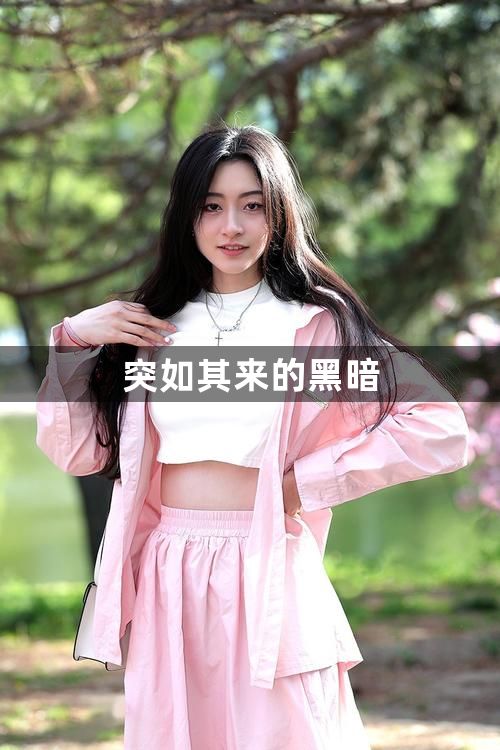 突如其来的黑暗1