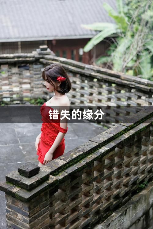 错失的缘分1