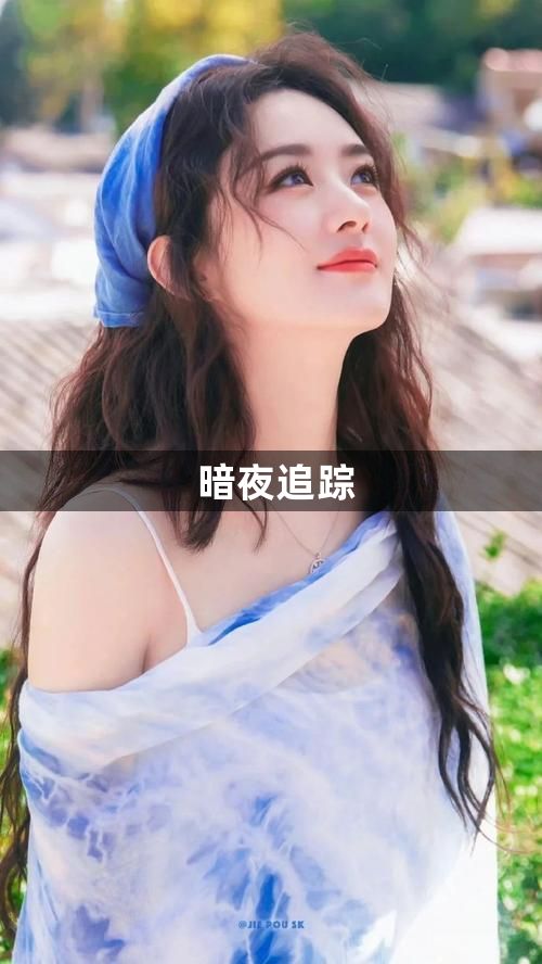 暗夜追踪1
