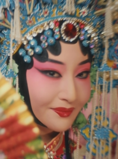 四时花开
