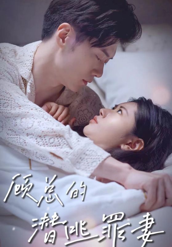 顾总的潜逃罪妻