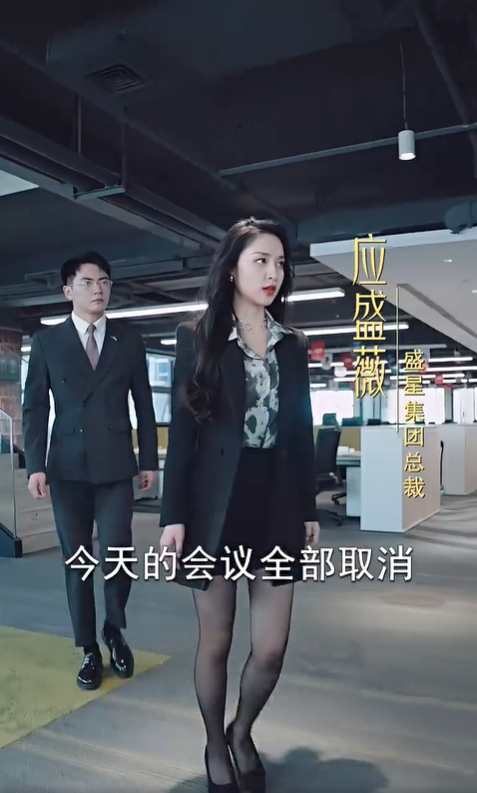 不装了，我真是女总裁2