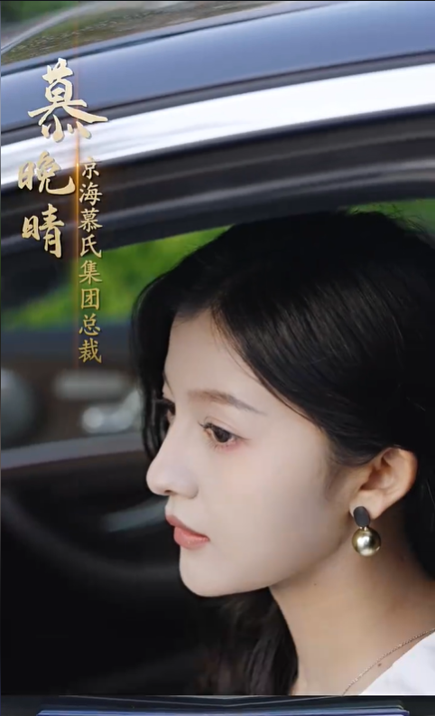 我的老婆是美女总裁4