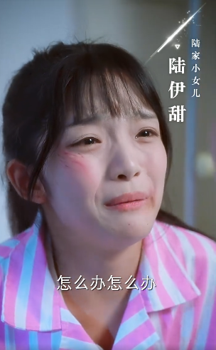 错爱难逃忆似梦2