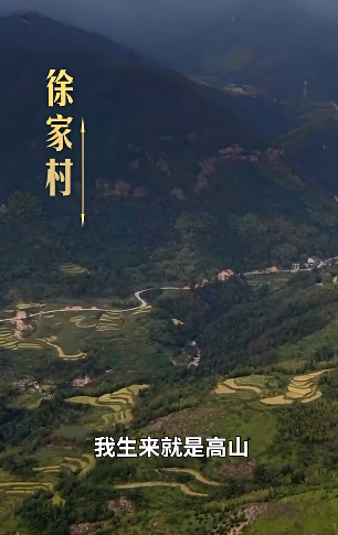 谢谢您，林老师2